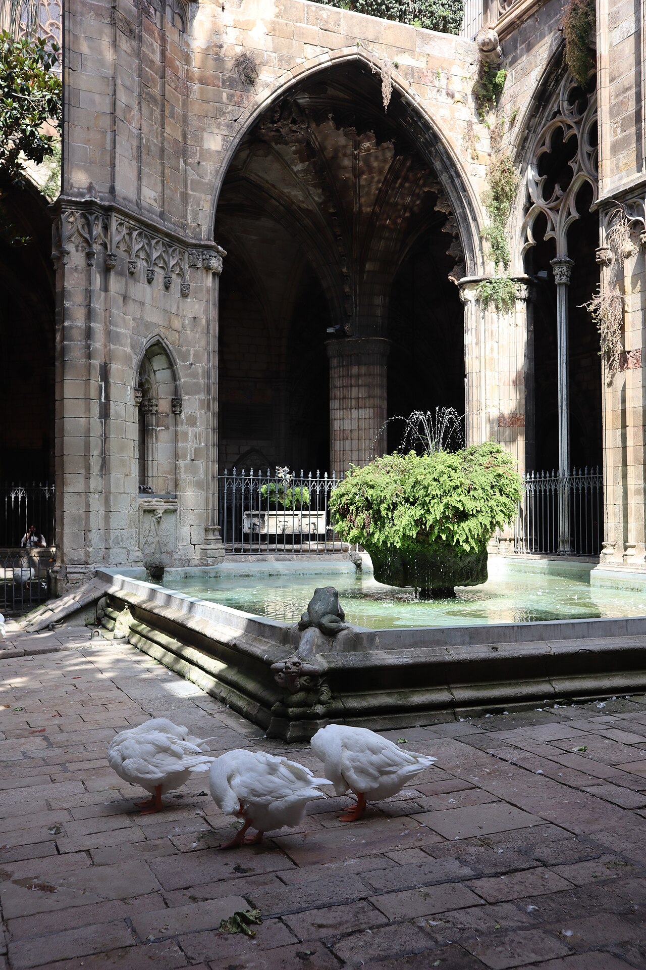 13 weiße Gänse im Kreuzgang der Kathedrale